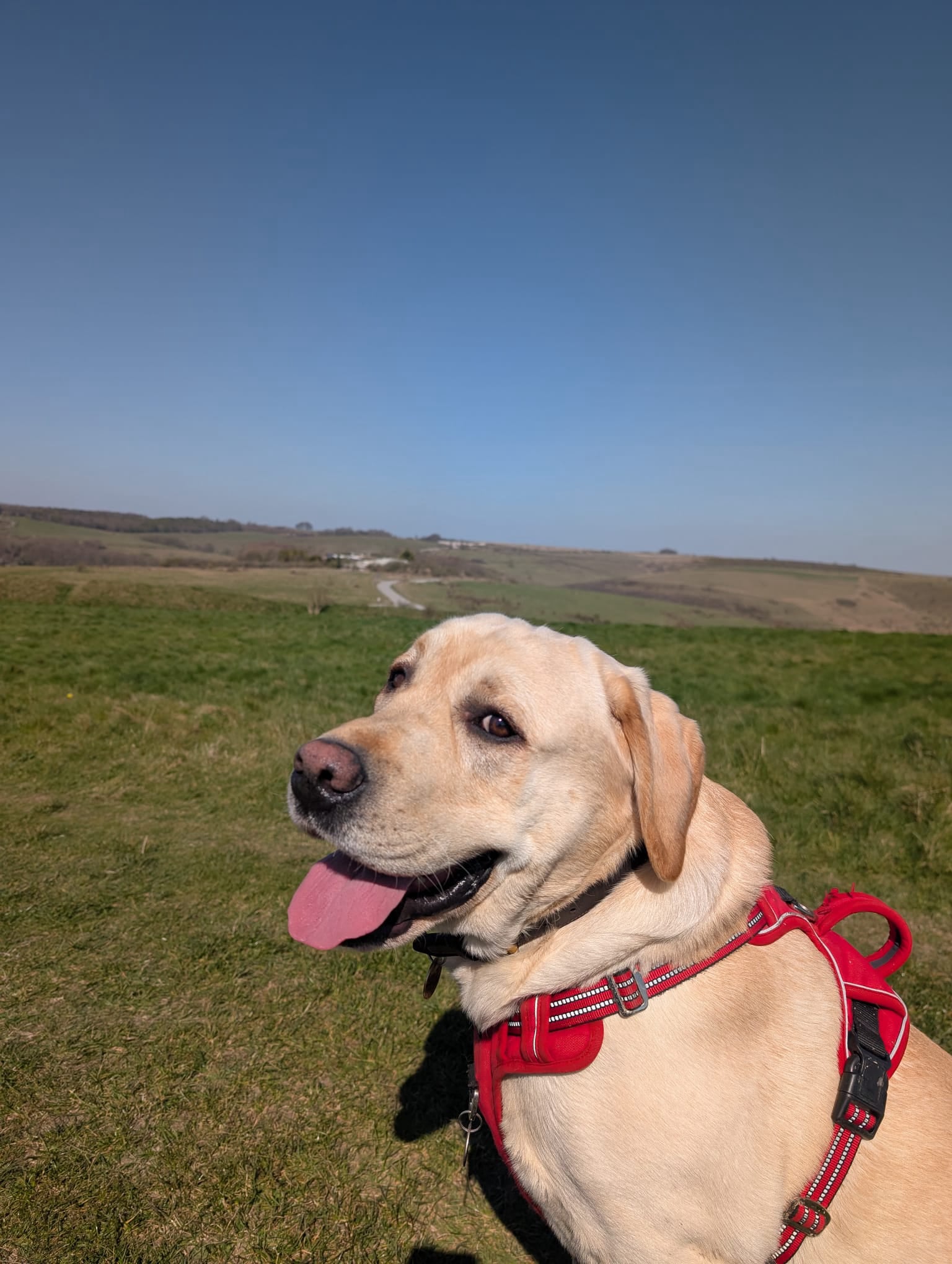 Salisbury Plain